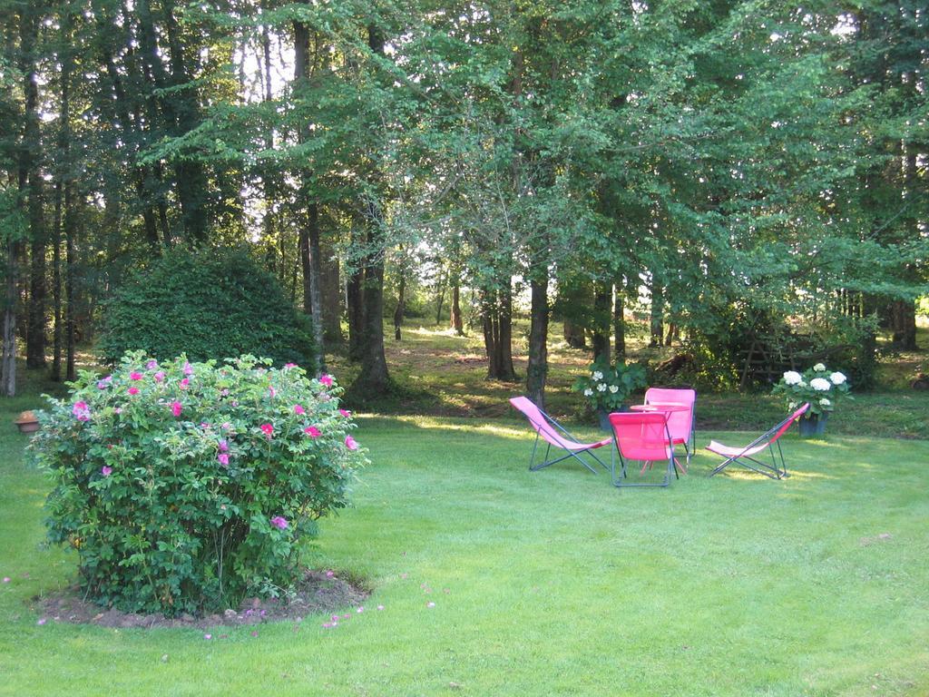 Bed and Breakfast Logis De La Paqueraie Saint-Branchs Exterior foto