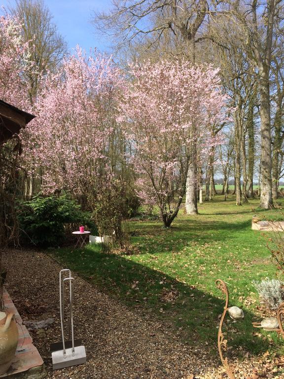 Bed and Breakfast Logis De La Paqueraie Saint-Branchs Exterior foto